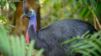 img_title