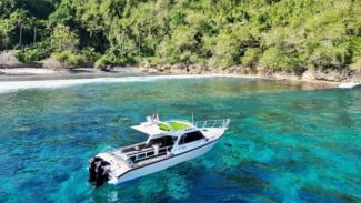 Berenang Bersama Pari Manta di Nusa Penida, Paket Sehari dari Sanur Ini Gabungkan Snorkeling dan Kelingking
