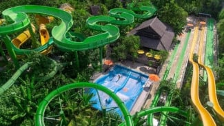 Waterbom Bali Kuta: Rahasia Taman Air Terlaris dengan Skor 9,6 dan Seluncuran Constrictor yang Memacu Adrenalin