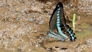 img_title