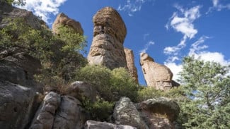 Pesona Chiricahua National Park Taman Nasional Terbaru di Amerika Serikat