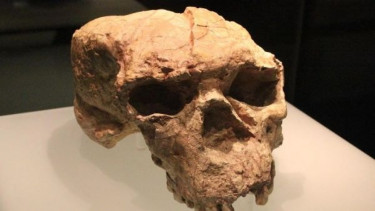 img_title