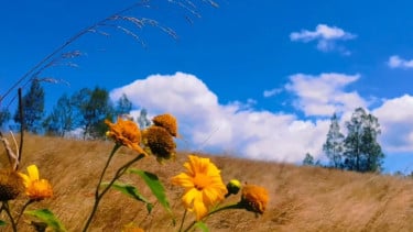 img_title