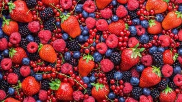 img_title