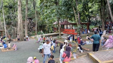 img_title