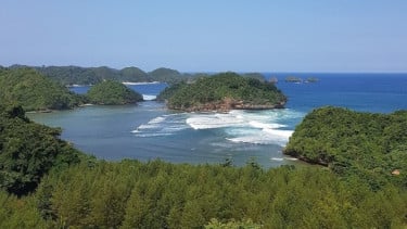 img_title