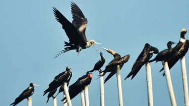 img_title