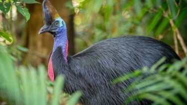 img_title
