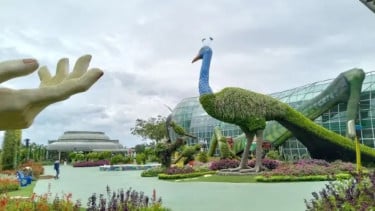 img_title