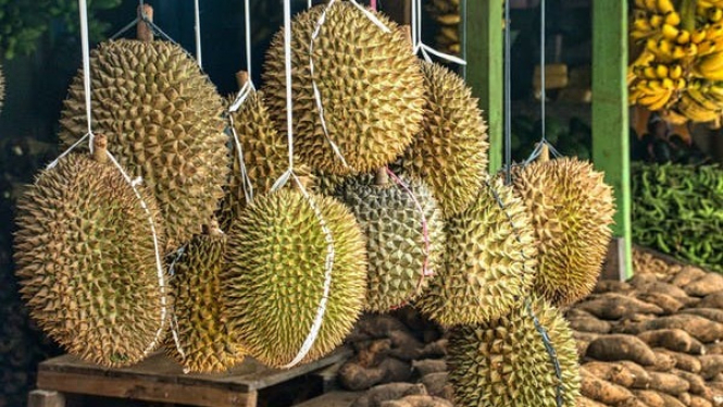 Buah Durian Dijual Pinggir Jalan