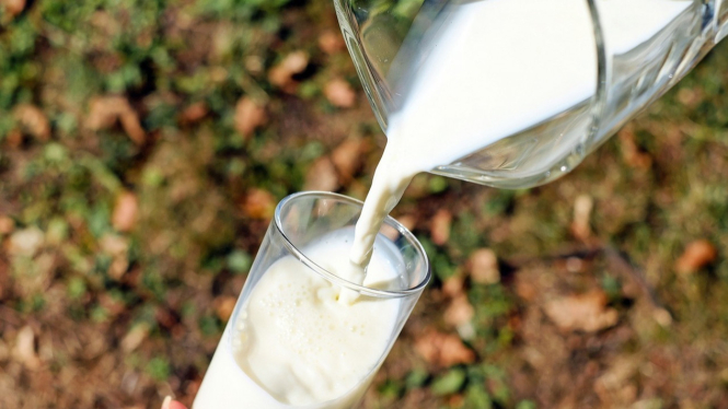 Susu