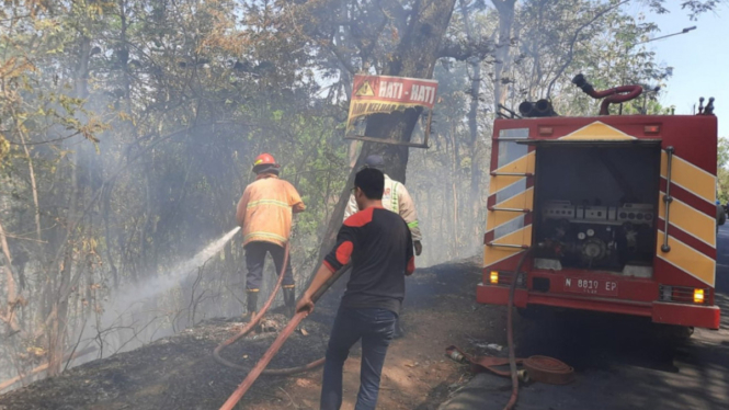 Hutan di Gunung Geger, Malang Terbakar, Akibat Cuaca Panas