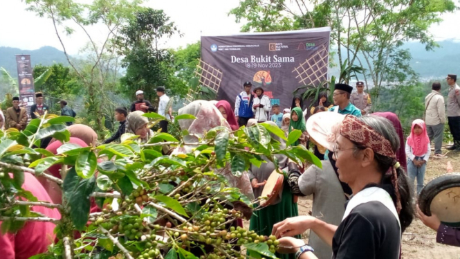 Festival Panen Kopi 2023 di Bukit Sama, Kabupaten Aceh Tengah