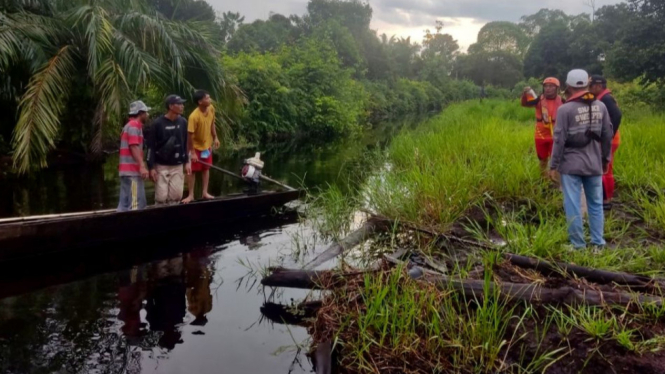 Basarnas Cari Pemuda di Dumai, Riau yang Diterkam Buaya