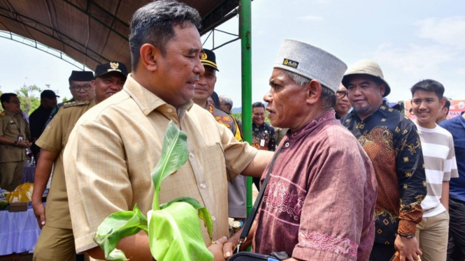 Petani di Luwu Timur mendapat bantuan bibit pisang Cavendish