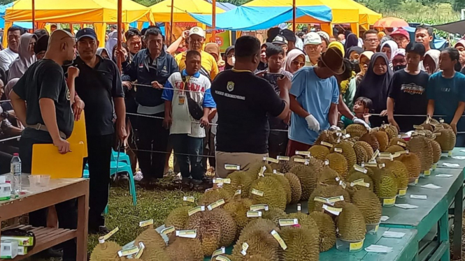 Wahhh....Festival Durian di Desa Kebongembong, Kendal