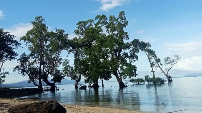 Menyingkap Sisi Teduh Likupang: Panduan Menemukan Ketenangan Jiwa di Sudut Utara Sulawesi