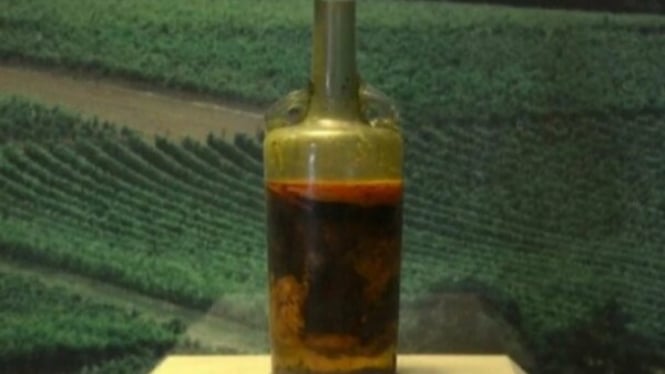 Botol Anggur Tertua di Dunia