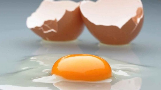 Cara Membedakan Kualitas Telur