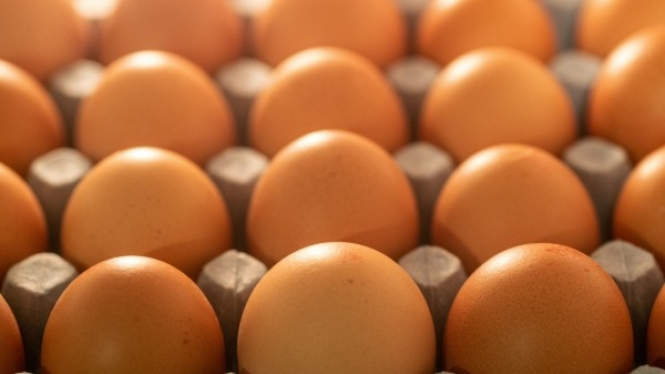 Cara Menyimpan Telur agar Tidak Mudah Rusak