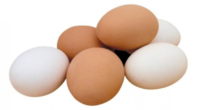 Telur Ayam Kampung dan Ayam Negeri