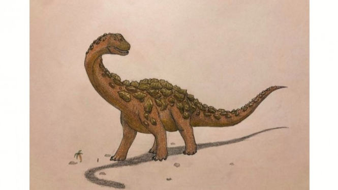 Titanosaurus, Ilustrasi