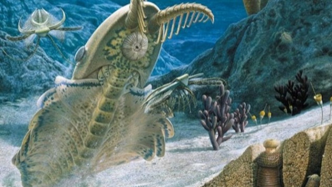 Hewan-hewan baru Bermunculan dalam lautan Kambrium