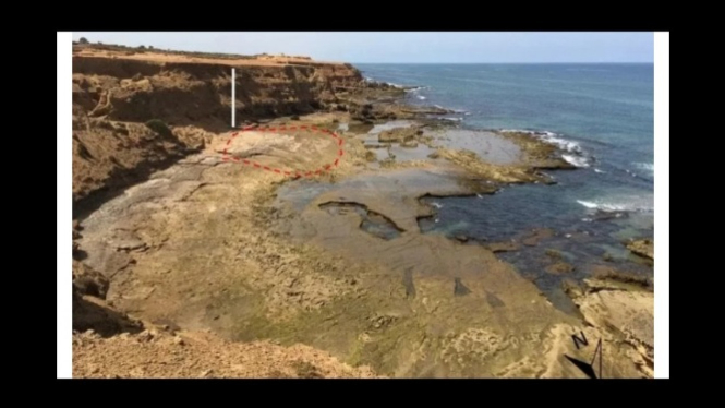 Tempat Ditemukannya Jejak Kaki di Tempat yang Ditandai