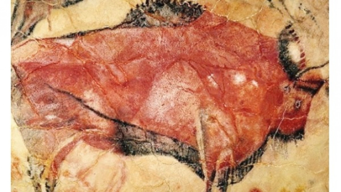 Gambar Bison di Gua Prasejarah