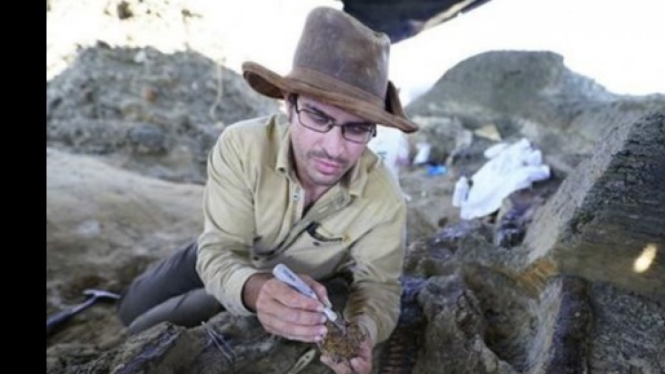 Ahli Paleontologi sedang Bekerja