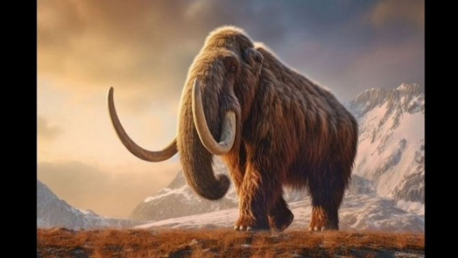 Mammoth, Makhluk Purba yang Sangat Berguna