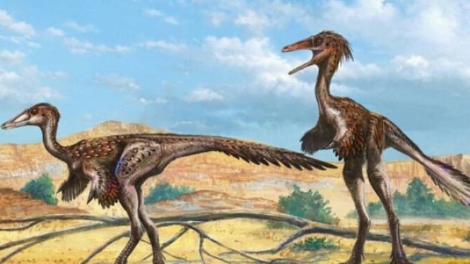 Alvarezsaurid, Dinosaurus Kecil Berkaki Panjang