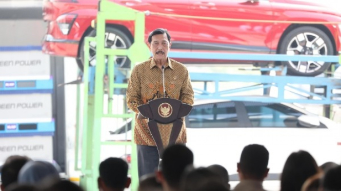 Luhut B. Panjaitan, Meko Kemaritiman dan Investasi