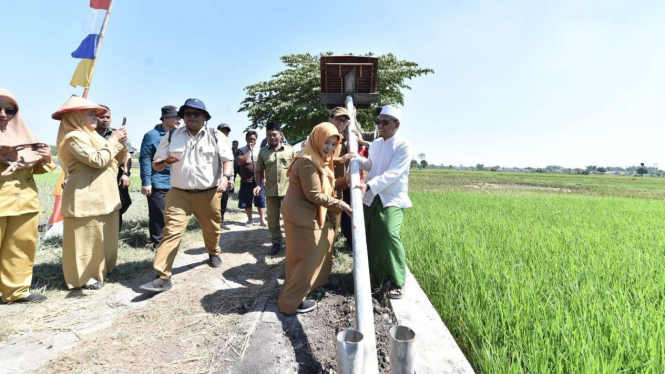 Gerakan membangun rumah burung hantu