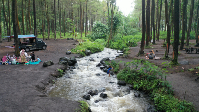 Wisata Hutan Pinus Poncosumo, Lumajang