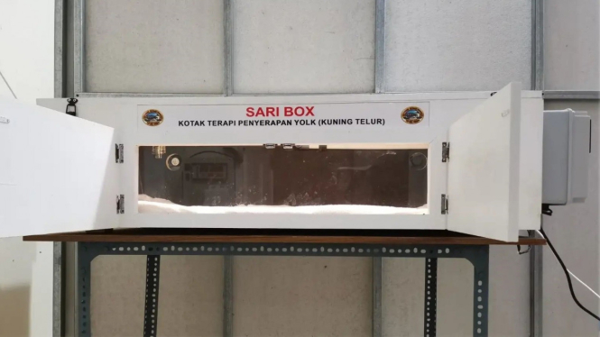 Sari Box