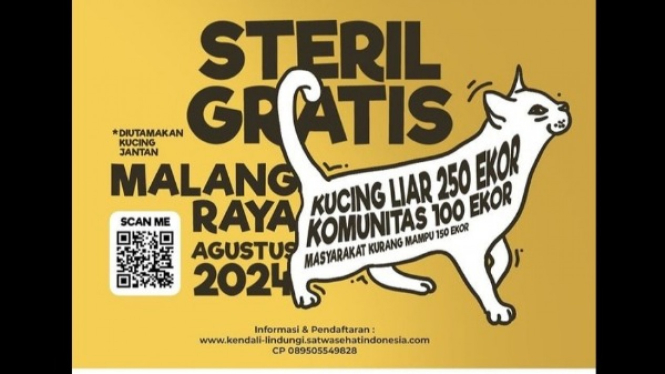 Steril Kucing Gratis