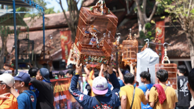 Festival dan Lomba Burung Berkicau Piala Bupati Bantul