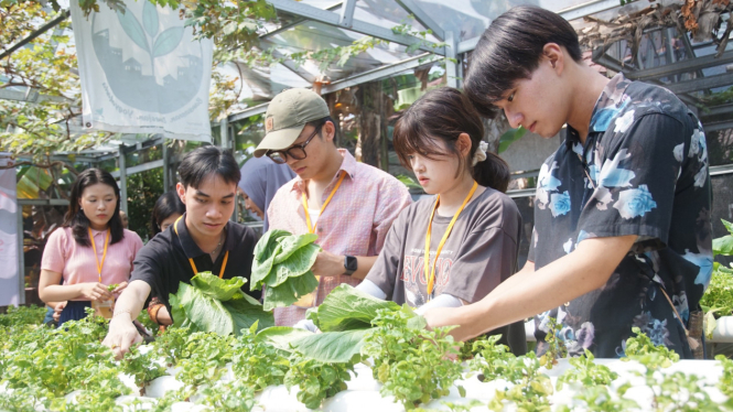 Mahasiswa Jepang dan Cina Belajar Urban Farming