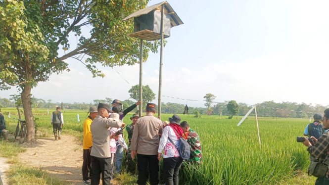 Rumah Burung Hantu