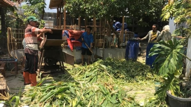 Bantuan Pakan Ternak Bulan Bakti Peternakan dan Kesehatan Hewan