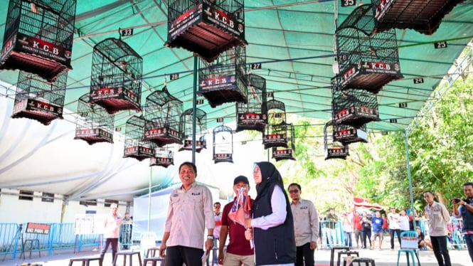 Festival Burung 2024 di Banyuwangi