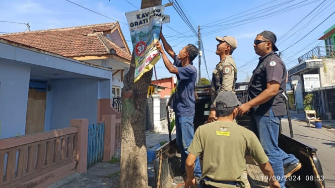 Pasukan Pencari Paku (Pacarku) Cabut Paku dari Pohon