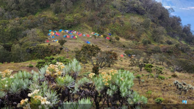 Pendakian ke Gunung Arjuno-Welirang Ditutup Mulai 1 November 2024