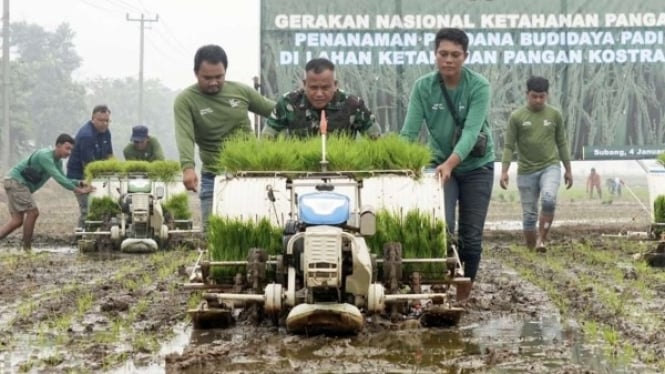 Mekanisasi Pertanian Tanaman Padi