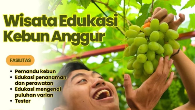 Wisata Edukasi Kebun Anggur