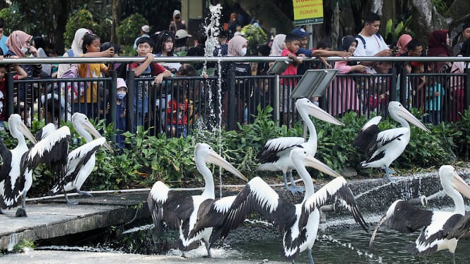 NATARU: Keseruan Liburan di Taman Margasatwa Ragunan, Jakarta