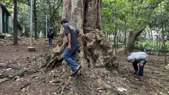 Warga sedang Berburu Koin Jagat