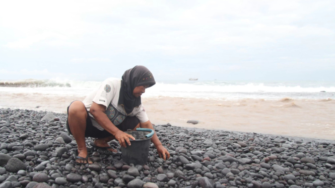 Pantai Selatan Lumajang