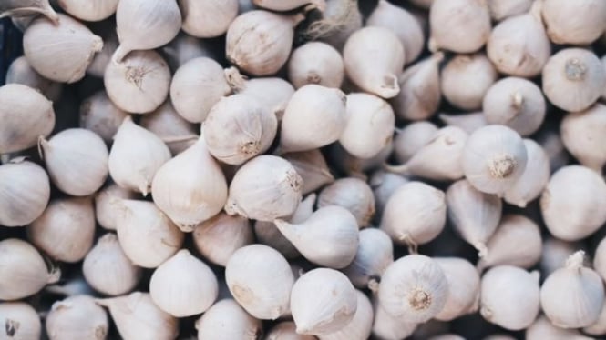 Bawang Tunggal